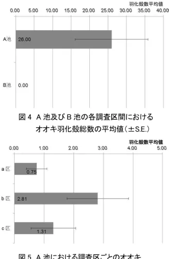 図 4  A 池及び B 池の各調査区間における          オオキ羽化殻総数の平均値（± .E.）          図 5  A 池における調査区ごとのオオキ  羽化殻数平均値（± .E.）  図 6  A 池の各調査区間におけるオオキ  羽化殻数平均値（± .E.）  羽化殻数平均値  羽化殻数平均値 マーカー（ZEBRAハイマッキー）もしく ペイントマーカー（ぺんてるホワイト極細）を用いて，上翅表面にマーキングを行い放逐した． (4) 成熟成虫のカウント 池干し以降に週1回の頻度で，露出した池