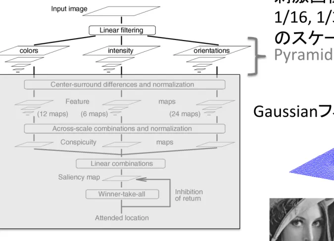 Fig. 1. General architecture of the model.