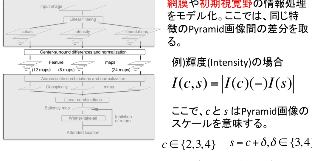 Fig. 1. General architecture of the model.