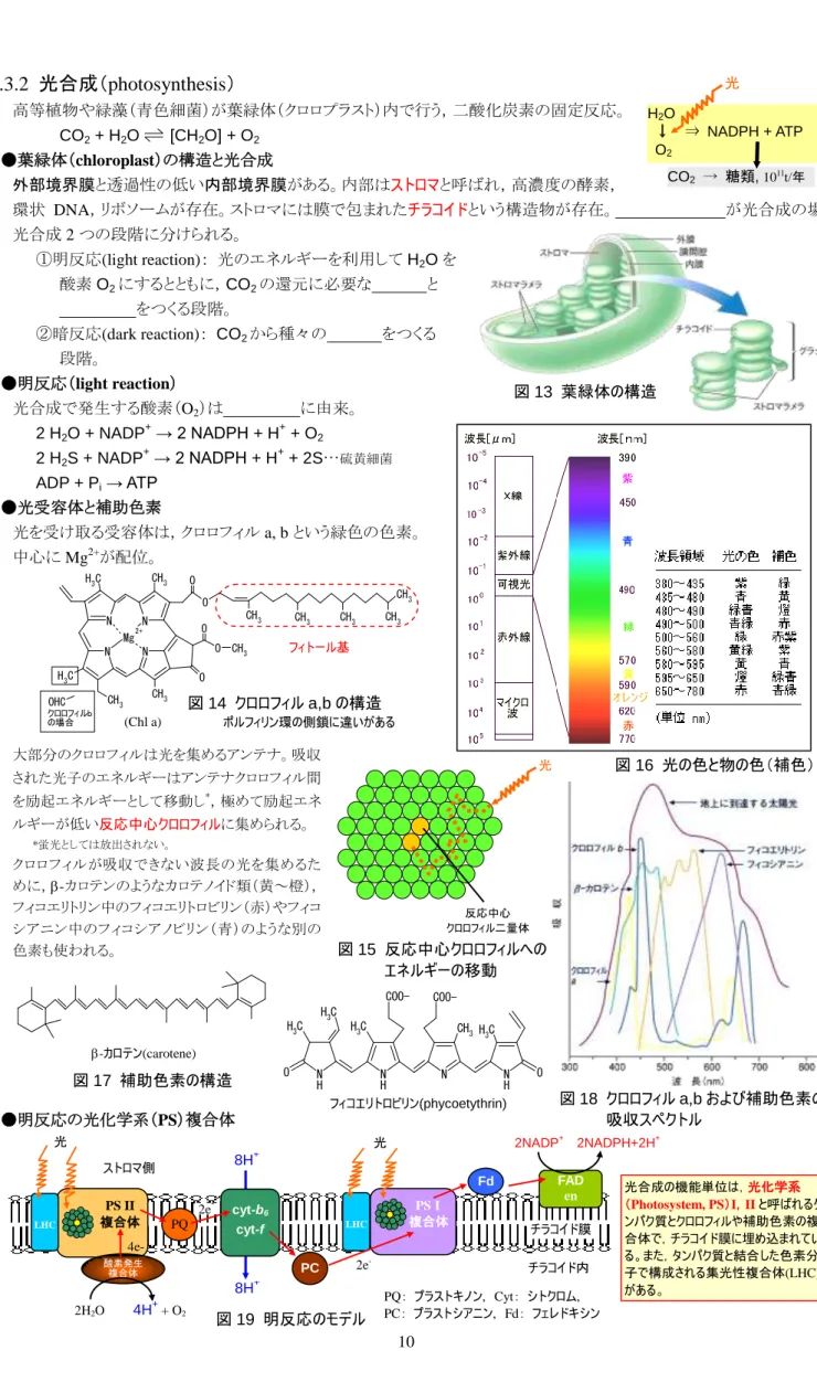 図 13  葉緑体の構造 9.3.2 光合成（photosynthesis）高等植物や緑藻（青色細菌）が葉緑体（クロロプラスト）内で行う，二酸化炭素の固定反応。 CO2 + H2O [CH2O] + O2●葉緑体（chloroplast）の構造と光合成 外部境界膜と透過性の低い内部境界膜がある。内部はストロマと呼ばれ，高濃度の酵素，環状 DNA，リボソームが存在。ストロマには膜で包まれたチラコイドという構造物が存在。                    が光合成の場。光合成2つの段階に分けられる。 ①明反