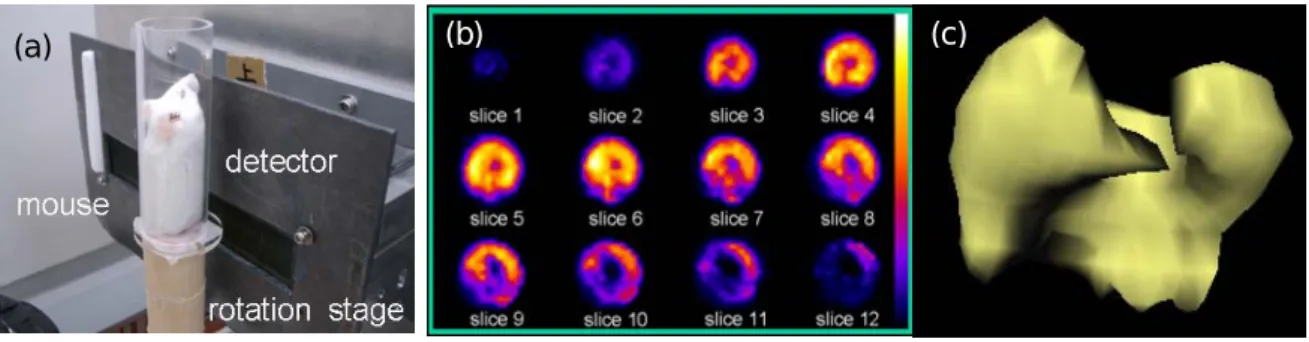 図 18 マウスを用いた実験 (b) (c)(a)  性医薬品としてはTc-99mフチン酸 10mCiを用い、データ収集時間は１時間、一方向あたり １分で 60 方向から収集した。画像再構成には OS-EM 法を用いた。これらの画像から、臨 床での利用における可能性が示されたものといえる。上記に示したように計画調書に記し た達成目標に関しては、臨床用の装置開発を除き、すべての点で当初の開発項目を達成す ることができた。  ＜優れた成果があがった点＞    本サブプロジェクトにおいて特筆すべき点は、ガンマ線の