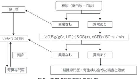 図 6.  CKDの診療連携システム案 （日本腎臓学会編，CKD診療ガイド 2009，p52）健 診併診検尿（蛋白尿・血尿）かかりつけ医腎臓専門医異常なし異常あり異常あり異常なし ＞0.5g/gCr, UP(+)&amp;OB(+), eGFR＜50mL/min 腎臓専門医：腎生検も含めた精査と治療 4．治療 1）糖尿病腎症 CKD診療ガイドライン（2009）では，1 日 0.5 g以上の蛋白尿，試験紙で潜血反応 （血尿） 陽性， eGFRが 50 ml! 分! 1.73 m未満になれば， 腎臓専門 医を受
