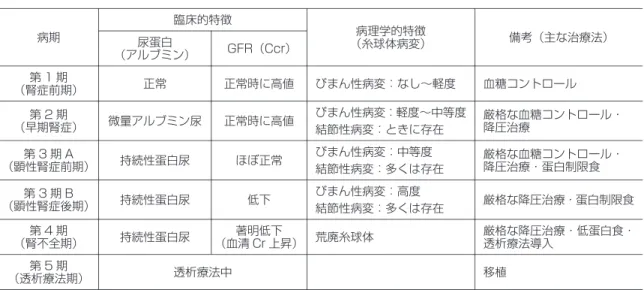 表 4.  糖尿病性腎症の病期分類 備考（主な治療法）病理学的特徴 （糸球体病変）臨床的特徴病期尿蛋白 GFR（Ccr ） （アルブミン） 血糖コントロールびまん性病変：なし～軽度正常時に高値第 1期正常 （腎症前期） 厳格な血糖コントロール・ 降圧治療びまん性病変：軽度～中等度 結節性病変：ときに存在正常時に高値微量アルブミン尿第 2期（早期腎症） 厳格な血糖コントロール・ 降圧治療・蛋白制限食びまん性病変：中等度 結節性病変：多くは存在ほぼ正常持続性蛋白尿第 3期 A（顕性腎症前期） 厳格な降圧治療・蛋