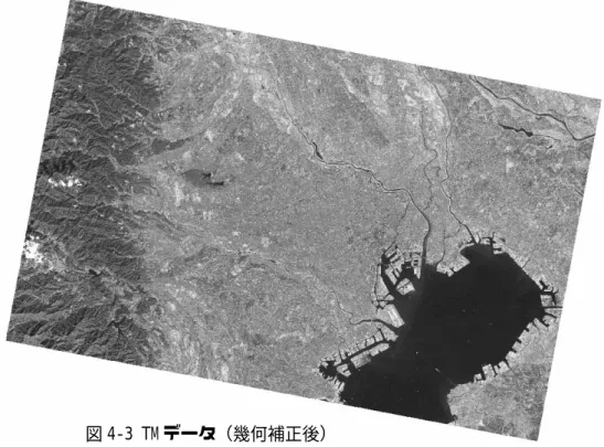 図 4-2 本研究における GCP 配置 