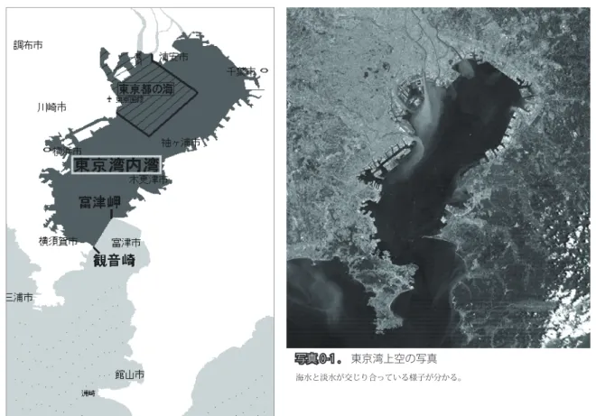 図 東京湾内湾と東京港 0‑2  東京湾上空の写真  海水と淡水が交じり合っている様子が良く分かる            写真 0‑1  品川の船溜まり  背後に見えるのは、JR 品川駅の、品 川インターシティ、品川グランドコモ ンズである。手前には、昭和 5 年 （1930）築の住宅と漁船が見える。こ のように大都会の中でも、東京都の漁 師は生き続けているのである。  図 0-1 . 東京湾内湾と東京港 写真 0-1 . 東京湾上空の写真海水と淡水が交じり合っている様子が分かる。写真 0-2 . 品川の船
