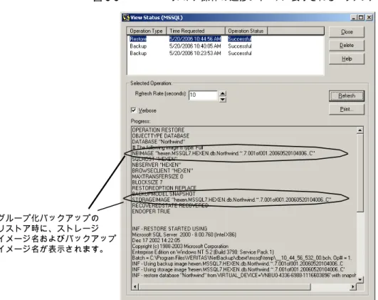 図 8-3 リストア操作の進捗レポートに表示されるバッチファイル グループ化バックアップの リストア時に、ストレージ イメージ名およびバックアップ イメージ名が表示されます。 第 8 章 Snapshot Client を使用したバックアップの設定 111SQL Server エージェントのグループ化バックアップについて (レガシー SQL Server ポリシー)