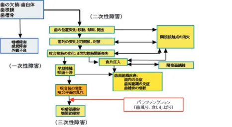 図 1  歯の欠損と顎口腔系の変化．