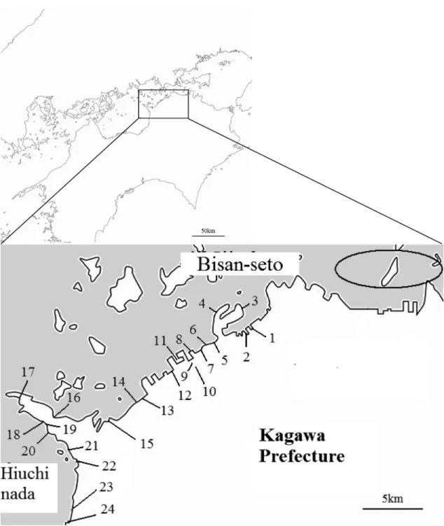 Fig. 1. Study area and location of sampling area.