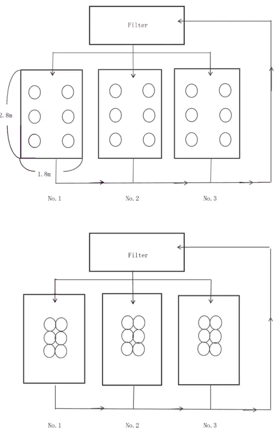 Fig.  1-2.  Arrangement  of  the  spawning  bed  for  Tanakia  tanago  in  natural  spawning  experiment