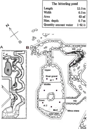 Fig.  1-7.  Schema  of  an  ecological test  pond  (A)  and     location  of  the  bitterling  pond   (B),  •  ; position  of  Margaritifera  laevis bred  in the container.