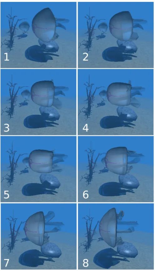Figure 3.2: Animation sequence of a single contraction–expansion cycle of a jellyfish