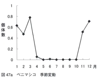 図 47a ベニマシコ 季節変動 【年次変動】（図 47b） 1996 年と 1997 年は個体数 は比較的多かったが、それ以外の年はやや低い密 度で経過し、変動はやや大きい（CV ＝ 91％）。1 回の調査で 1 羽の割合で見られた年もあるが、5 回の調査で 1 羽の割合で見られる年が多かった。 図 47b ベニマシコ 年次変動 91. ウソ   （Linnaeus） 【季節変動】（図 48a） 3 月頃にピークを示し、ま た、6 月から 7 月頃にも多少見られるが、4 月か ら 5 月及び 8 月から 