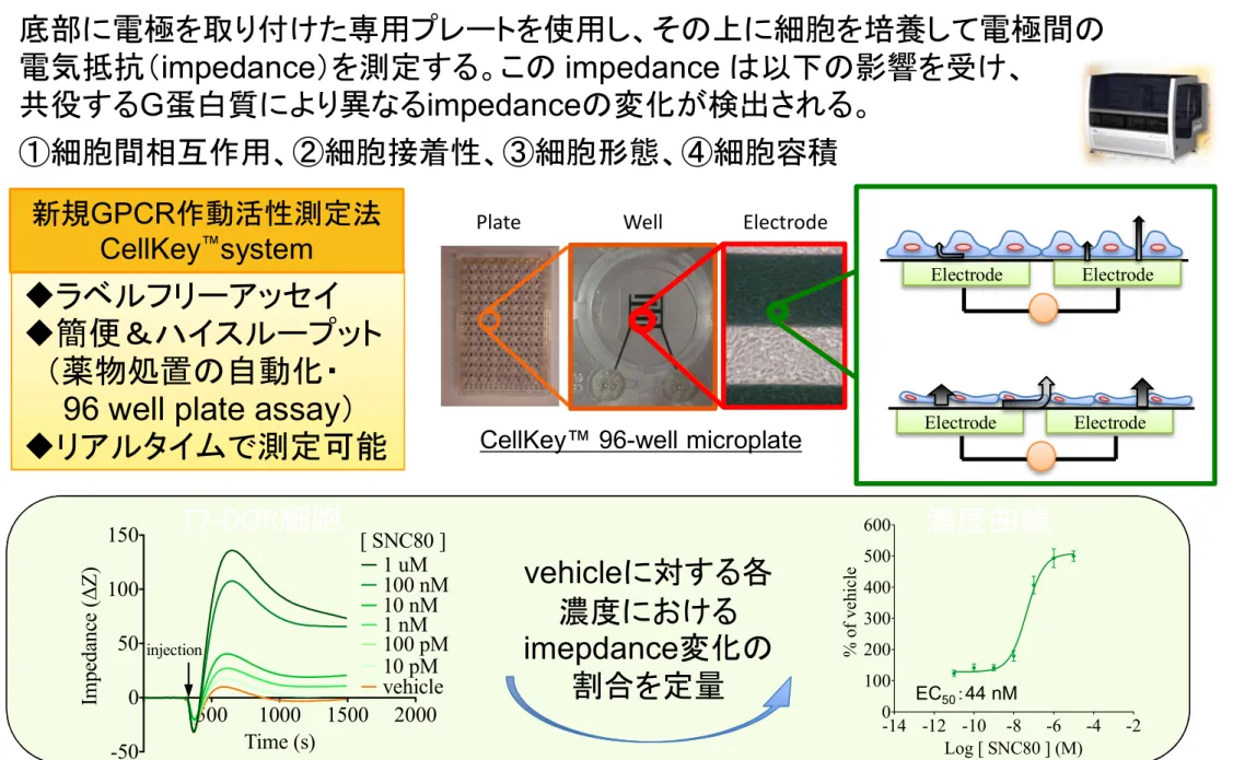 Fig. 5. Principles of the CellKey™ system 