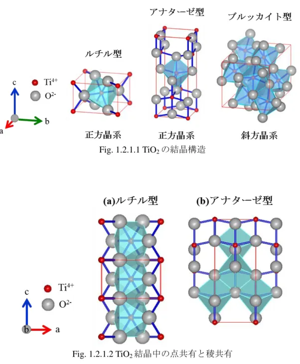 Fig. 1.2.1.2 TiO 2 結晶中の点共有と稜共有 