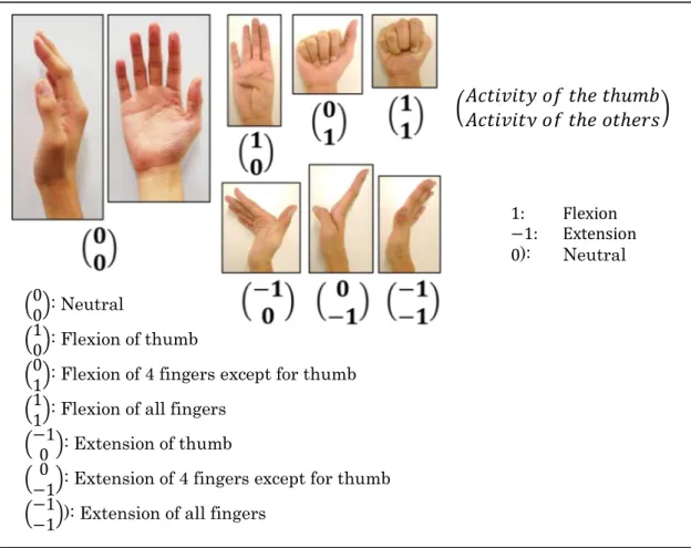 Figure 5 Targeted finger motions 
