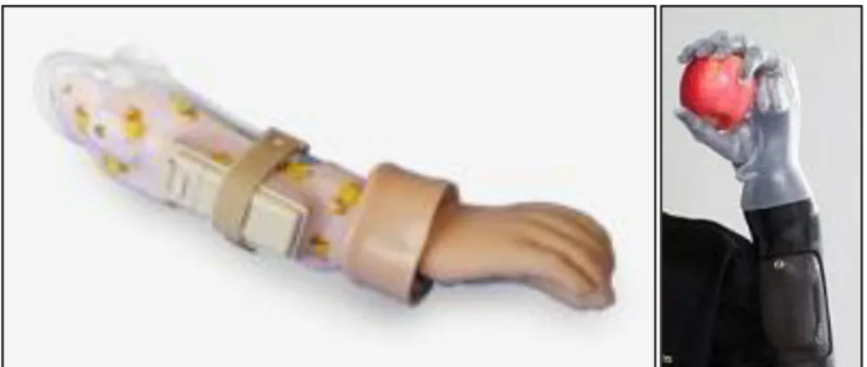 Figure 1 SAWAMURA Prosthetics and Orthotics Service Co., LTD. 