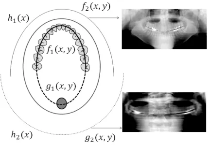 Fig. 3.2: 画像化面と再構成画像
