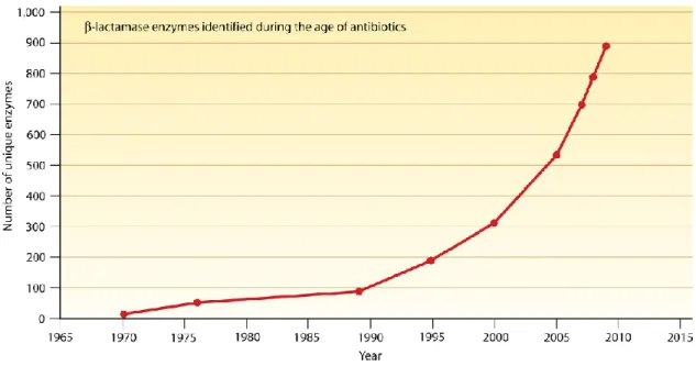 Fig. I-1. Increasing of number of identified β-lactamase. 