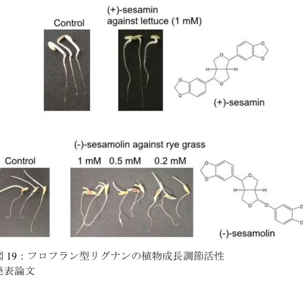 図 19 ：フロフラン型リグナンの植物成長調節活性 発表論文 