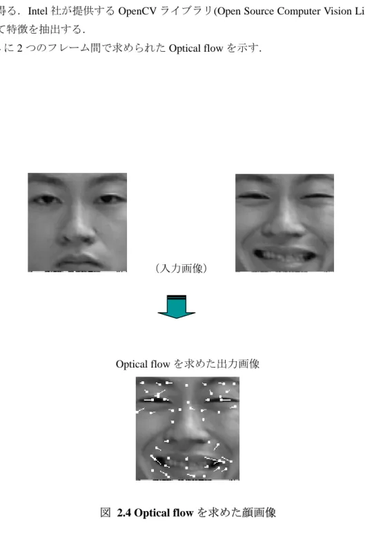 図 2.4 に 2 つのフレーム間で求められた Optical flow を示す．