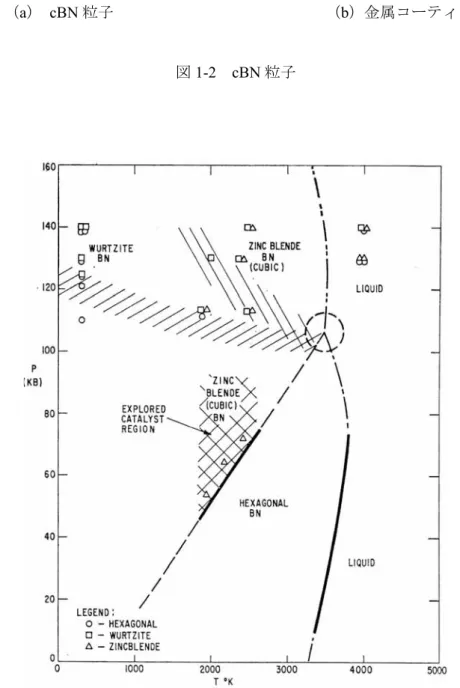 図 1-2  cBN 粒子 