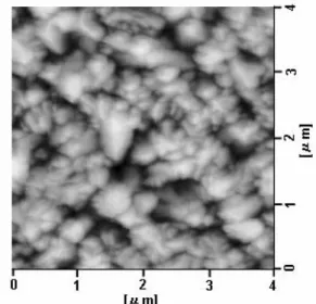 図 4.1  各基板上に蒸着したペンタセン薄膜の AFM 観察画像