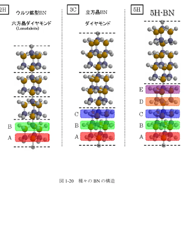 図 1-20  種々の BN の構造 