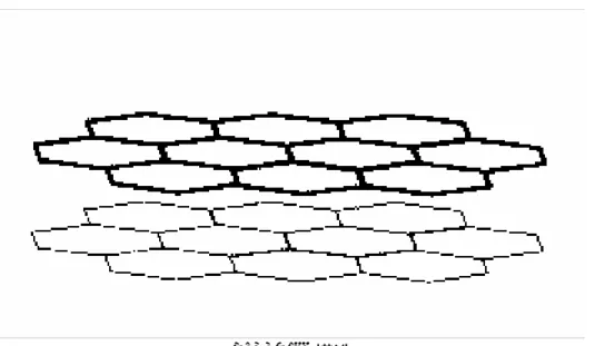 図 3 ； graphite の構造と初期配置シミュレーションの初期配置（graphite ）