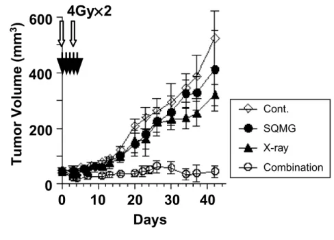Figure 6. Combined therapy delays tumor