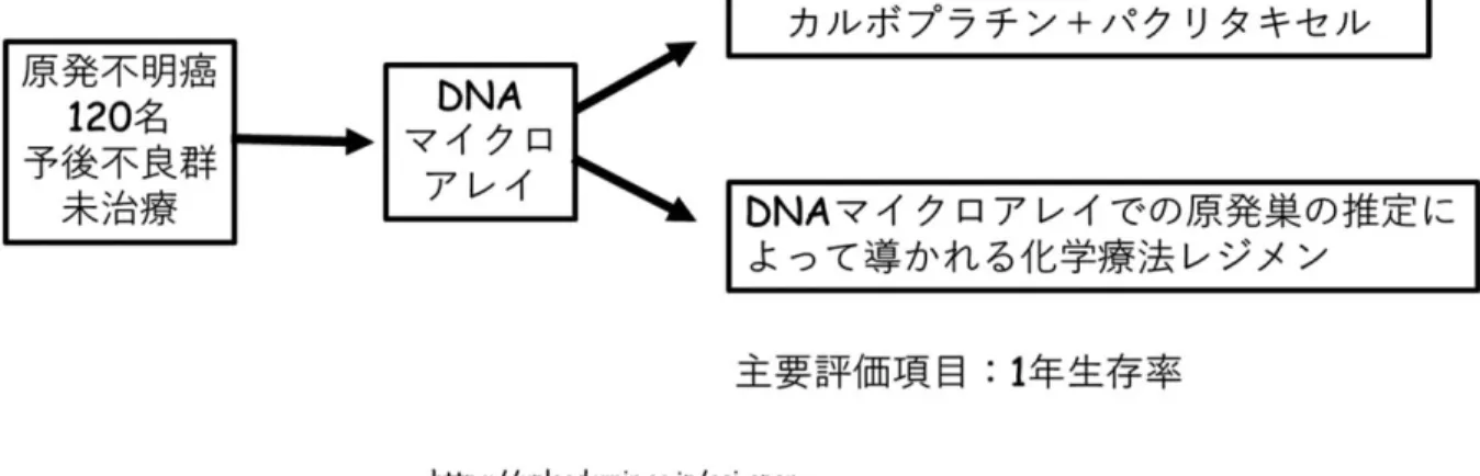 Fig. １A　未治療原発不明癌に対する DNA チップを用いた原発巣推定に基づく治療効果の意義を問う無作為化第Ⅱ相試験
