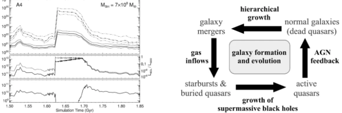図 2 合体後の水素柱密度 ( 左上 ) 、絶対光度 ( 左中 ) 、 B バンドでの見かけの光度 ( 左 下 ) [1] と銀河進化の模式図 [2] 。 ると同時に、新しくできた SMBH の周りに大量のガスが落ち込む。その結果、ダストに 埋もれた活動銀河核 (AGN) が誕生する ( 図 2 左 ) 。このとき水素柱密度 ( 水素の個数密度 を視線方向に積分したもの ) は N H ∼ 10 25 cm − 2 に達する。するとダストによる強い減光 のために、可視光ではこの系を観測できなくなる ( 図 