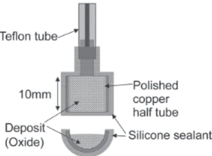 Fig. 2   Schematic diagram of experimental cell for polarization  measurement.