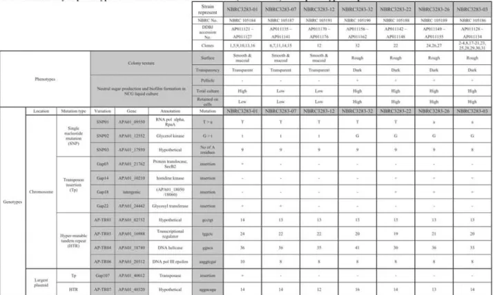 Table  1. Summary  of  phenotypes  and  mutation  loci  in  the  IFO  3283  (NBRC  3283)  multi- henot lex.