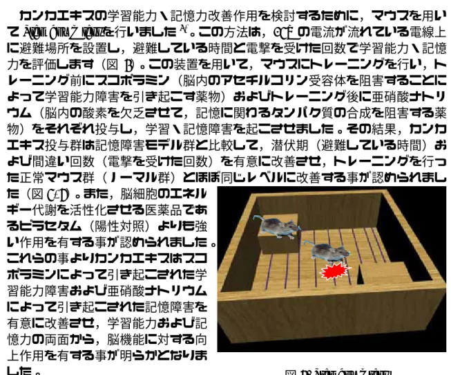 図 5. Step down test 3. カンカエキスの機能性  (1)  脳機能改善作用  1)  学習能力および記憶力改善作用（in vivo） 学習・記憶に対する考え方として，3 段階のメカニズムがあります。 ①  記憶を習得する能力，すなわち学習能力。②  記憶を保存する能力，すなわち記憶力。 ③  記憶した情報を引き出す，思い出す（recall）能力。 カンカエキスはこれら全てのメカニズムにおいて有意に作用する事が明らかになりました。以下にこれらの結果を示しました。 ①記憶の習得および保存能力