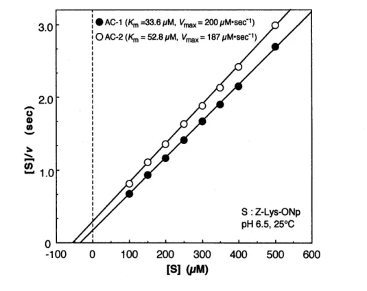 Fig.  3  Determination of steady-state kinetic parameters for the hydrolysis  of Z-Lys-ONp by actinidain isozymes