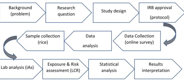 Figure 1. Flow diagram of the study protocol Research 