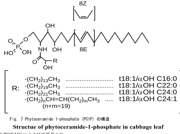 Fig. 7 Phytoceramide 1-phosphate (PC1P) の構造