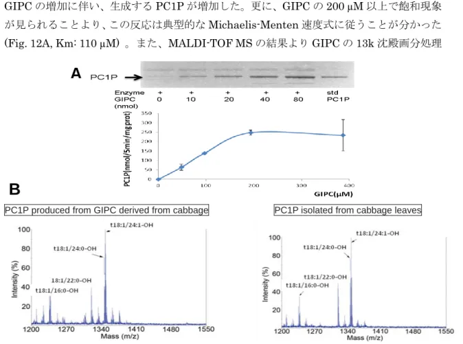 Fig. 12  in vitro おける GIPC から PC1P の生成 