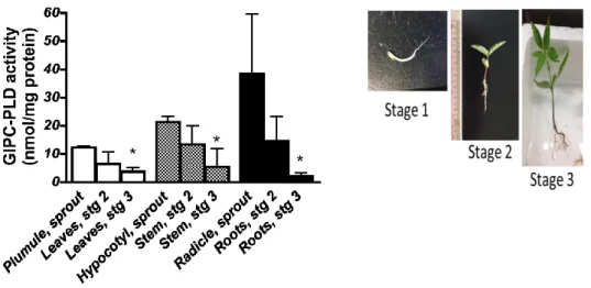Fig. 18 植物における GIPC-PLD, GIPC, PC1P の分布 