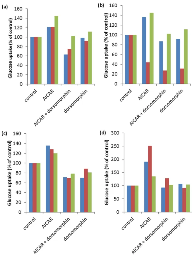 Fig. 5. Serum starvation affect glucose uptake time-dependent. 