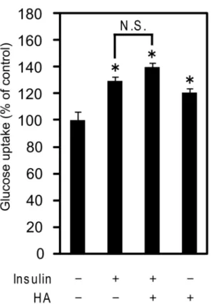 Fig. 9. Glucose uptake of C2C12 myotubes after stimulation with mixture of  insulin and HA