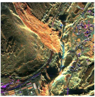 図 7 図 6 における南阿蘇村土砂崩れ現場の拡大図 Fig. 7 Close-up image of landslide at Minami-Aso