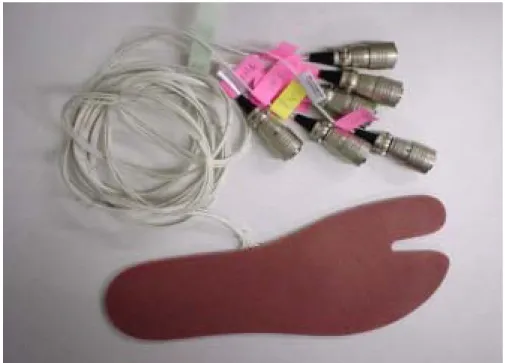 Fig. 3.3   Plantar pressure sensor 