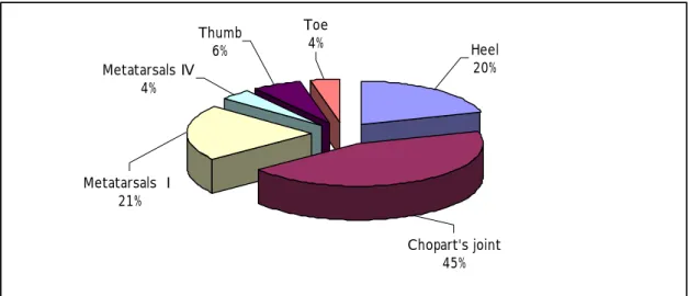 Fig. 4.3.5  The area ratio of each portion of Subject E’s plantar 