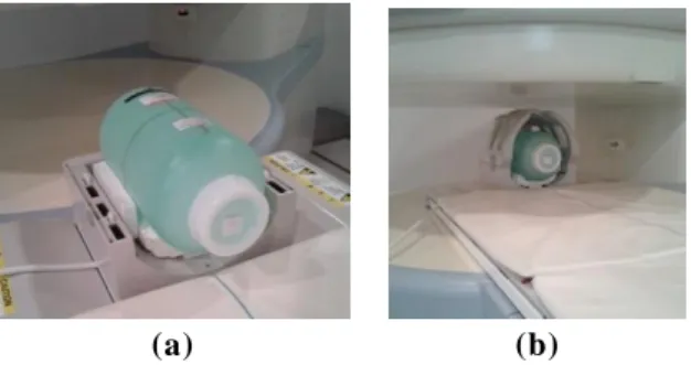Fig. 3  収 集 DWI (a)  と そ の ヒ ス ト グ ラ ム   (b)  の 閾 値 （ 破 線 ） 設 定 4.2.2  2 値 画 像 処 理 収集DWIを2 値 画像化 した例を Fig