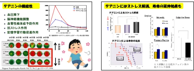 図 脳線条体へのテアニン投与によるドーパミン放出量の増加 図３ テアニンによる抗ストレス効果 ヒト試験による低カフェイン茶の 抗ストレス効果 テアニンにはストレス解消、寿命の延伸効果も 27目 次茶は養生の仙薬、その魅力と機能性☆ お茶の特質☆ チャの主要成分とその機能性 ☆ 機能性に特化した品種や栽培・加工法☆ 茶の特定保健用食品と機能性表示食品 28べにふうき べにふうき（紅富貴）は、べにほまれと枕Cd86を交配した後代のアッサム種に近い茶品種である。紅茶、半発酵茶の用途として開発 サンルージュ 新芽中