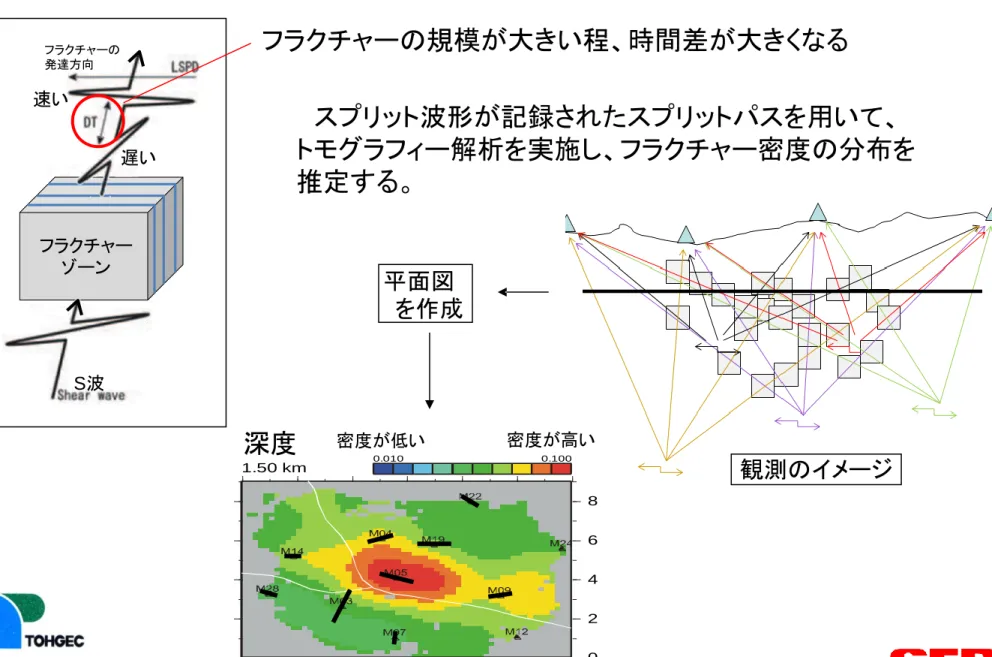 Fig. 8. Three dimensional tomographic results of the splitshear-wave inversion