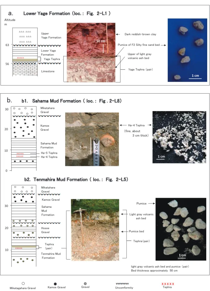 FIGURE 6. Geologic columnar sections of the Lower Yage Formation and its  correlatives. 