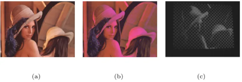 図 6 画像への構造光パターンの埋め込み: (a) 元画像; (b) パターンを埋め込んだ画像; (c) カメラから見た画像 Fig. 6 Embedding structured light pattern in image: (a)An original image; (b)A pattern embeded