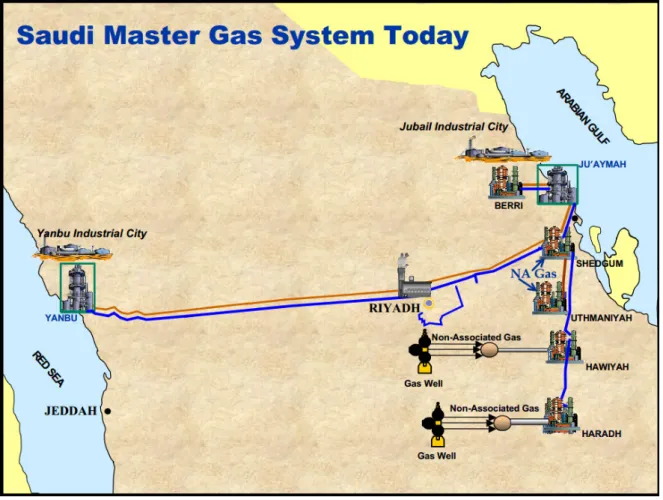 図 12  「 Master Gas System」の経路図